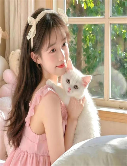 了不起的大盗奶奶适合什么人观看？目标观众群体分析